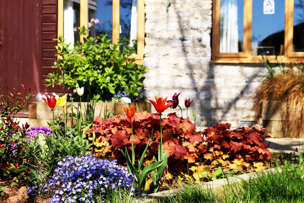Garden, Care Homes in Weymouth